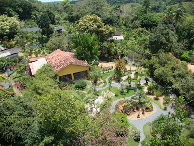 ATMOSPHERA PLANTAS PAISAGISMO em Igarassu PE PiscinaeJardim